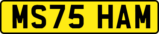 MS75HAM