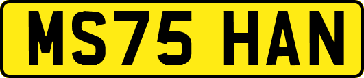 MS75HAN