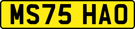 MS75HAO