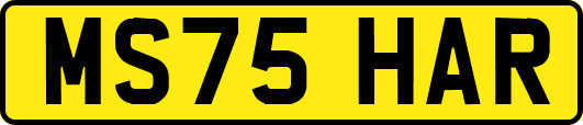 MS75HAR