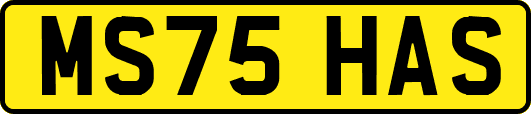 MS75HAS