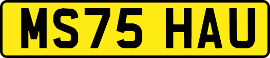 MS75HAU