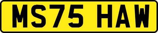 MS75HAW