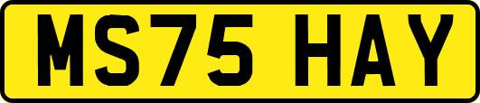MS75HAY