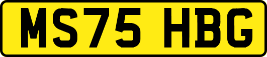 MS75HBG