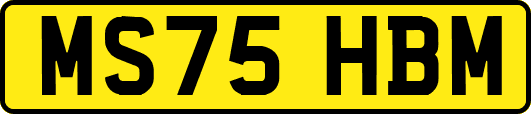 MS75HBM
