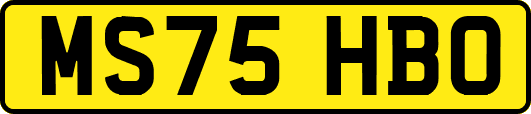 MS75HBO
