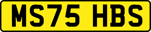 MS75HBS