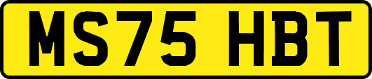 MS75HBT