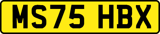 MS75HBX