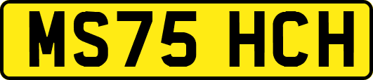 MS75HCH