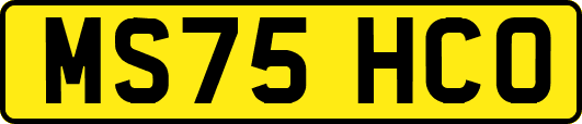 MS75HCO