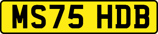MS75HDB