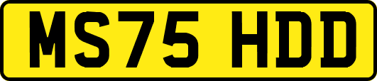 MS75HDD