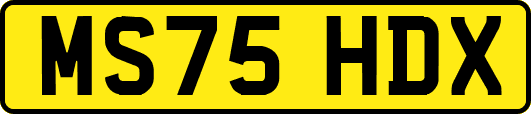 MS75HDX