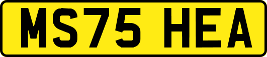 MS75HEA