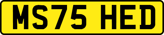 MS75HED
