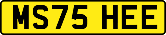 MS75HEE