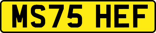 MS75HEF