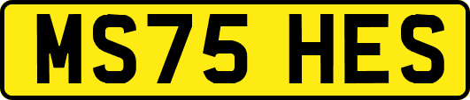MS75HES