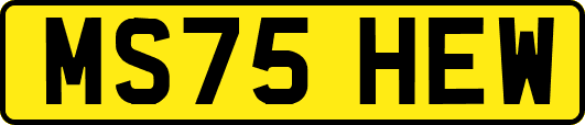 MS75HEW