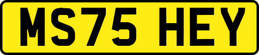 MS75HEY