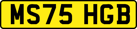 MS75HGB