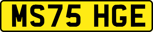MS75HGE