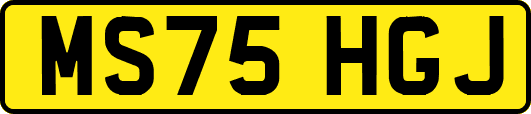 MS75HGJ