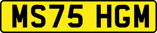 MS75HGM
