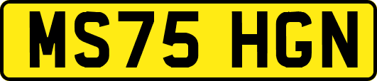MS75HGN