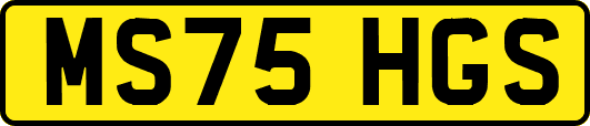 MS75HGS