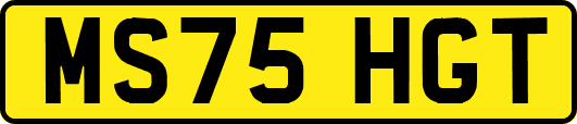 MS75HGT