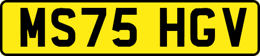 MS75HGV