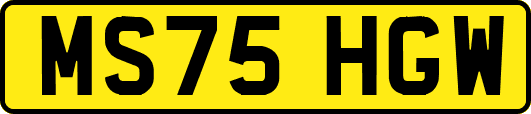 MS75HGW