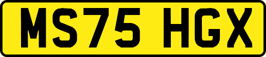 MS75HGX