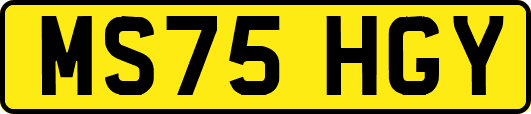 MS75HGY