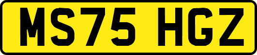 MS75HGZ
