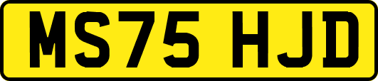 MS75HJD