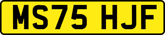 MS75HJF