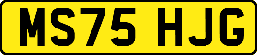 MS75HJG