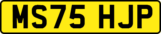 MS75HJP