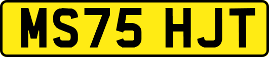 MS75HJT