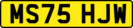 MS75HJW