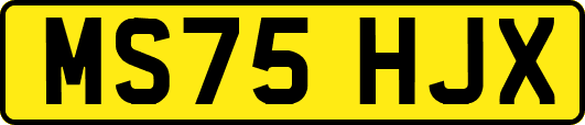 MS75HJX
