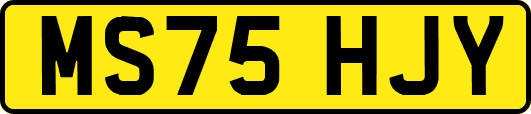 MS75HJY