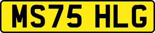 MS75HLG