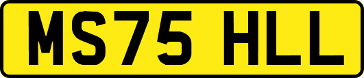 MS75HLL