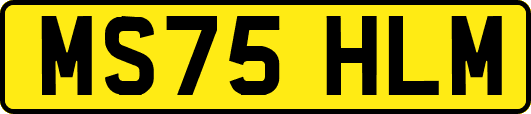 MS75HLM