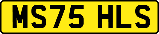 MS75HLS